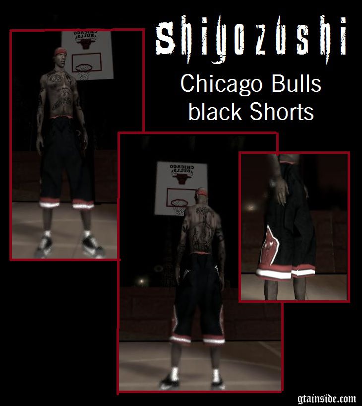 champion chicago bulls shorts